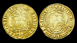 Netherlands Utrecht David Van Bourgondië Gold St.Maartensgoudgulden - …-1795 : Vereinigte Provinzen