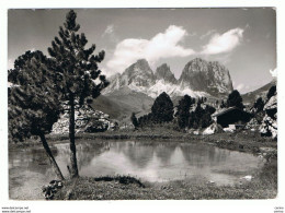 TRENTO:  GRUPPO  DEL  SASSOLUNGO  -  FOTO  -  FG - Bergsteigen