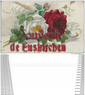 EUSKIRCHEN. Fleurs Roses Et Souvenir En Paillettes Rouges Et Argents - Euskirchen