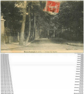 95 BEAUCHAMPS. Avenue Des Sapins Animée 1912 - Beauchamp