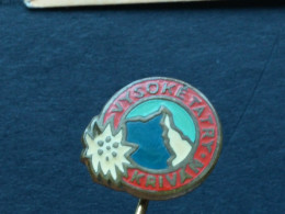 BADGE Z-74-1 - ALPINISM, Mountain, Mountaineering, VYSOKE TATRY, KRIVAN, FLOWER, FLEUR EDELWEISS - Alpinismus, Bergsteigen