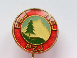 BADGE Z-74-2 - ALPINISM, Mountain, Mountaineering, ASSOCIATION YUGOSLAVIA - Alpinisme, Beklimming