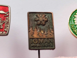 BADGE Z-74-2 - ALPINISM, Mountain, Mountaineering, IGMAN YUGOSLAVIA - Alpinismus, Bergsteigen