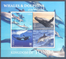 TONGA  ( VIS093) XC  WALVISSEN EN DOLFIJNEN - Dauphins