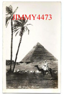 Cairo - Gizeh Egypt - The Chefren Pyramid - Publ.& Copy. Lehneert & Landrock - Gizeh