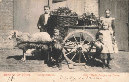 Bergen Op Zoom Schapenwagen 2862 - Bergen Op Zoom