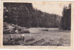 63 - ST-GERMAIN-L'HERM (P.-de-D.) - Faucheurs Sur Les Bords De La Fôret De L'Etat - Saint Germain Lembron