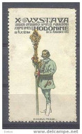 Werbemarke Cinderella Poster Stamp Vystava Hodonine 1913  Tschechien  #100 - Erinnophilie