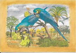 Thème Oiseau Perroquet Bleu  (Scarus Coeruleus)    1991 - ERNANI & WALTER - Rio De Janeiro
