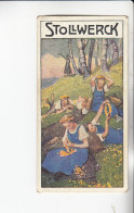Stollwerck Album No 15 Wandervögel  Rast Am Waldesrand    Grp 551#3 Von 1915 - Stollwerck