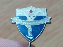 BADGE Z-61-1 - Natation, Swimming Club BOROVO, CROATIA - Swimming