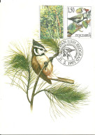 Carte Maximum - Oiseaux - Yougoslavie - Chapim De Poupa - Mesange Huppée - Crested Tit - Parus Cristatus - Maximum Cards
