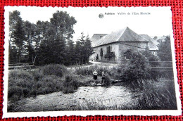 AUBLAIN  -  Vallée De L'Eau Blanche - Couvin