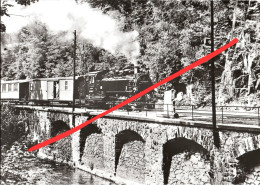 AK Seifersdorf Erzgebirge Zug Eisenbahn Schmalspurbahn Weißeritztalbahn Freital Hainsberg Dippoldiswalde Kipsdorf DDR - Dippoldiswalde