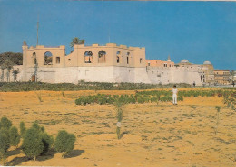 POSTCARD 1520,Libya,Tripoli - Libia