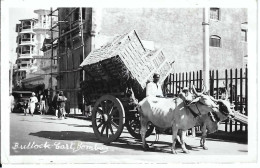 Bombay, Bullock Cart, Gelaufen 1953 - Inde