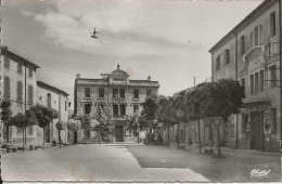 CPSM Sigean (11) Mairie - Sigean