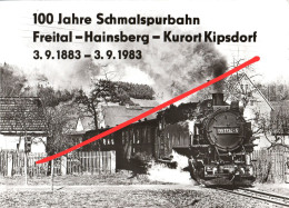 AK 100 Jahre Schmalspurbahn 1983 Zug Eisenbahn Weißeritztalbahn Freital Hainsberg Dippoldiswalde Kipsdorf Erzgebirge DDR - Dippoldiswalde