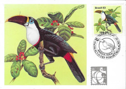 BRASIL 83 - TUCANOS - Spechten En Klimvogels