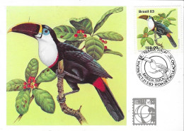 BRASIL 83 - TUCANOS - Piciformes (pájaros Carpinteros)