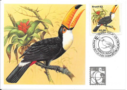 BRASIL 83 - TUCANOS - Piciformes (pájaros Carpinteros)