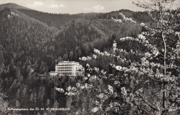 POSTCARD 1528,Austria,Semmering - Semmering