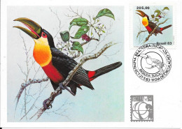BRASIL 83 - TUCANOS - Piciformes (pájaros Carpinteros)