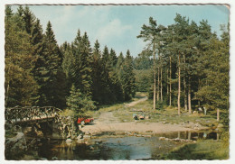 Vallée  De  La  Hoëgne -- Au Pont  De  La  Vecquée.   (2 Scans) - Jalhay