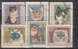 Bulgaria 1967 - Cats, Mi-Nr. 1717/22, Used - Gebraucht