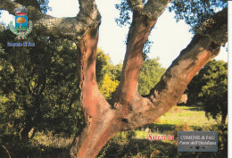 Italia - Sardegna - Oristano - Comune Di PAU  " Il Paese Dell'Ossidiana " - - Oristano