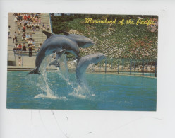 Dauphin - Dauphins - Marineland Of The Pacific (leaping Dolphin Trio) - Dauphins
