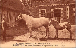 CPA -  SELECTION   -  LE PARCQ  -  Ferme D' Héroville . ROSETTE 8 Ans Jument Boulonnaise Et Sa Pouliche DIDON. - Le Parcq