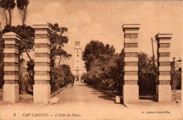 N°118302 -cpa Cap Cascine -l'allée Du Phare- - Lighthouses