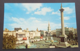 London - Trafalgar Square And Nelson's Column - Jarrold & Sons, Norwich - Trafalgar Square