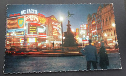 London - Piccadilly Circus, By Night - Young's Photo Reproductions, London - Piccadilly Circus