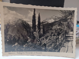 Cartolina Merano Passeggiata Principessa Di Piemonte 1941 ,bel Francobollo - Merano