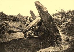 Roudouallec * L'allée Couverte * Menhir Dolmen Pierre Monolithe Mégalithe Pierres - Autres & Non Classés