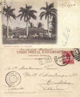 Cuba, HAVANA, Paisage Cubano, H. Palmas, Cuban Landscape (1904) Postcard - Cuba