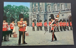 London - Changing The Guards Ceremony At Buckingham Palace - The Photographic Greeting Card, London - Buckingham Palace
