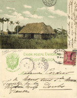 Cuba, HAVANA, Paisage Cubano, Cuban Landscape (1907) Postcard - Cuba