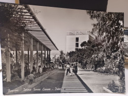 Cartolina Fasano Provincia Brindisi , Terme Torre Canne , Interno 1958 - Brindisi