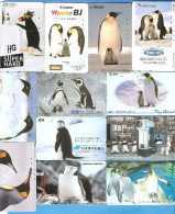 JAPAM 12 Rarer NTT Used Phonecards  PINGUINES - Lots - Collections