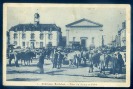 Cpa Du 56  Muzillac - Place Du Champ De Foire     LANR52 - Muzillac