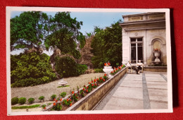 Carte -  Gouvieux  -(Oise) - Maison De Repos Du Domaine Du Moulin à Vent - Vers Le Bâtiment De La Direction - Gouvieux