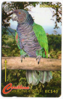 Dominica - Sisserou Parrot - 230CDMA - Dominica