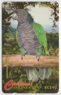 Dominica - Parrot - 230CDMA - Dominique