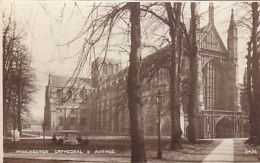 AK 182748 ENGLAND - Winchester - Cathedral & Avenue - Winchester