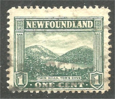 Terre Neuve Newfoundland Twin Hills Tor's Cove (XCNF-137) - 1908-1947