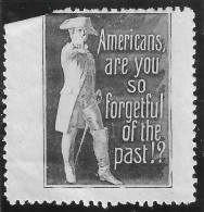 1914- 1918 WW1 EPOQUE DELANDRE USA Cinderella Vignette AMERICANS ARE YOU SO FORGETFULL OF THE PAST - Militaria