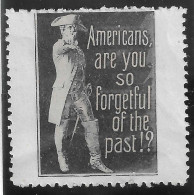 1914- 1918 WW1 EPOQUE DELANDRE USA Cinderella Vignette AMERICANS ARE YOU SO FORGETFULL OF THE PAST - Militaria